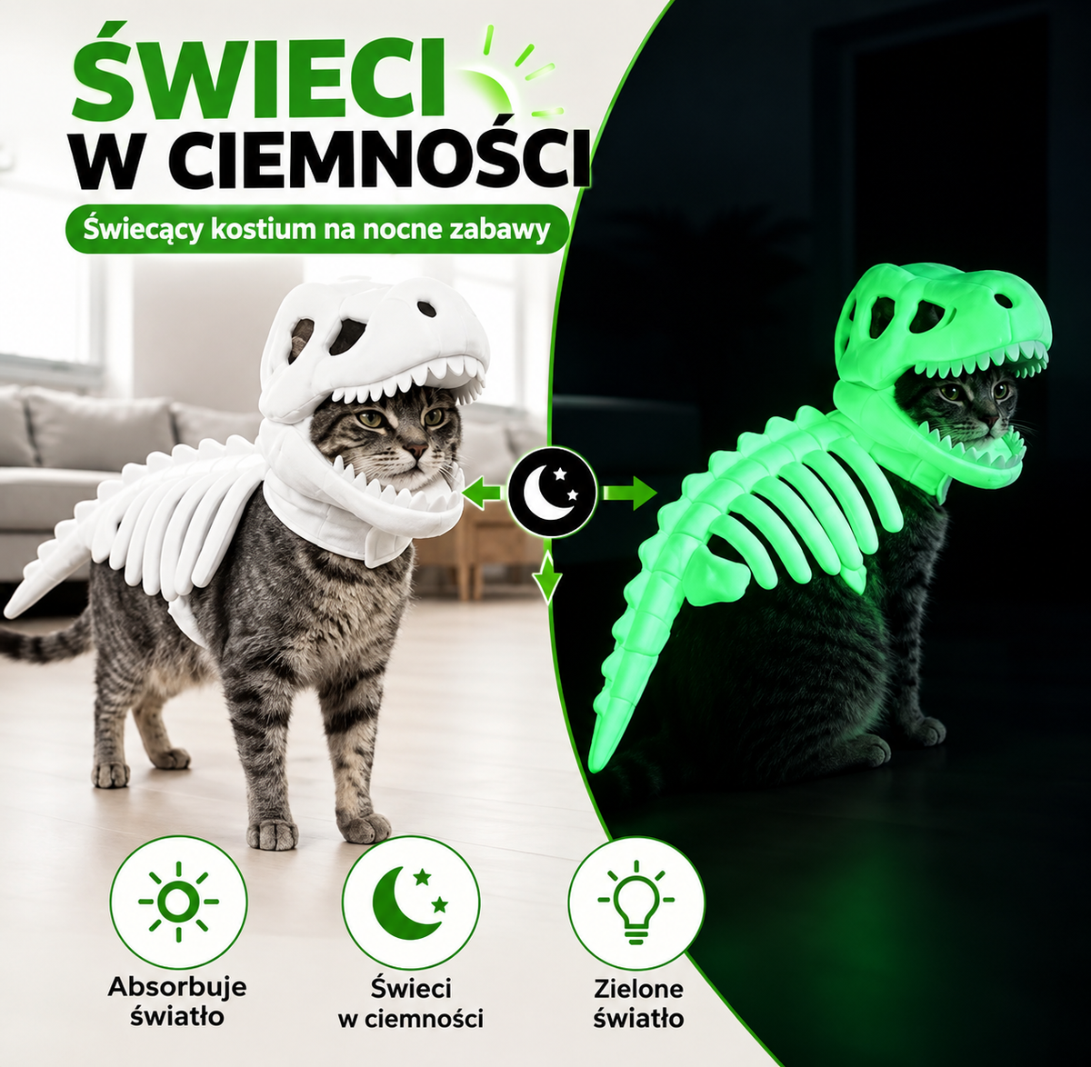 Kostium kota w kształcie szkieletu dinozaura, świecący w ciemności.