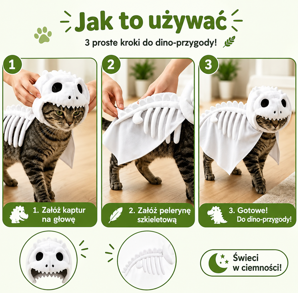Kostium kota w kształcie szkieletu dinozaura, świecący w ciemności.